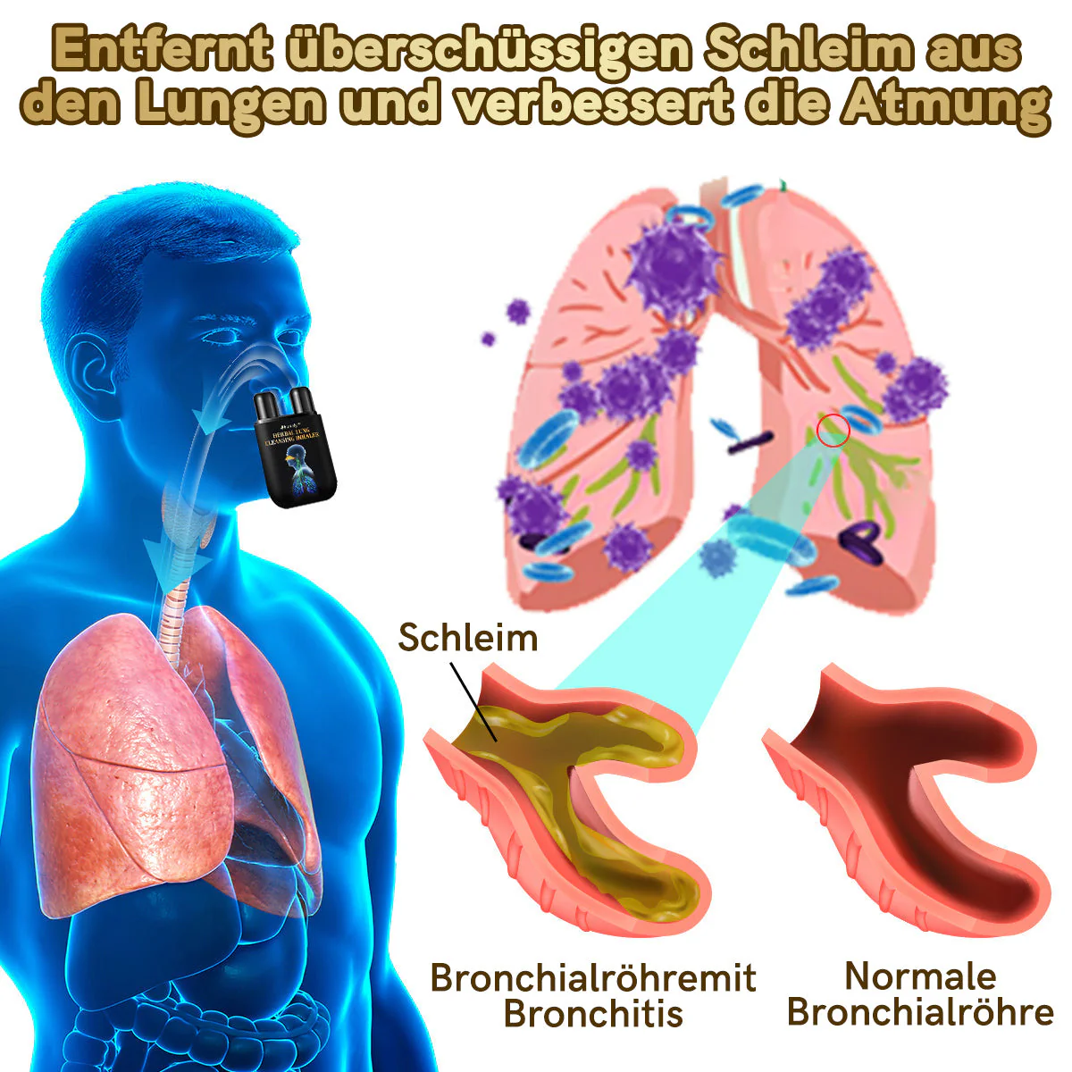 💖Offizieller Shop|🔥Furzero™ Natürlicher Lungen-Detox-Inhalator👨‍⚕️BfArM-certification(🎅 Weihnachts-Sonderangebot-💝LETZTER TAG 50% RABATT 💝) - Image 3